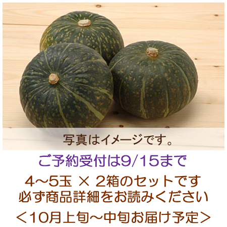 かぼちゃ4～5玉 × 2箱セット