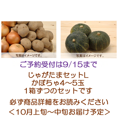 富良野じゃがたまセットＬ・かぼちゃ4～5玉セット