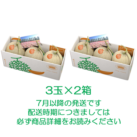 富良野メロン3玉×2箱