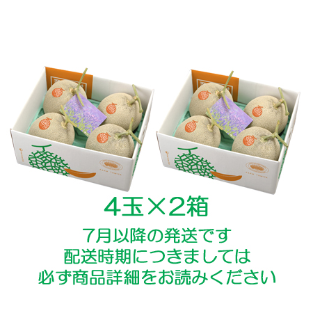 富良野メロン4玉×2箱